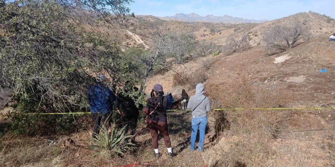Hallan fosa con restos humanos en Nogales