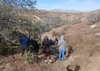Hallan fosa con restos humanos en Nogales