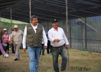 Programa Sembrando Vida impulsa el campo sonorense con más de 345 millones de pesos en 2025