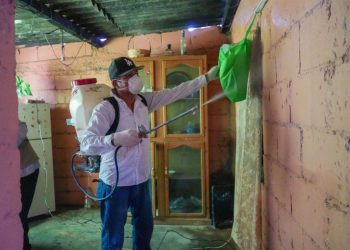 Salud Sonora intensifica prevención y seguimiento de casos de fiebre manchada