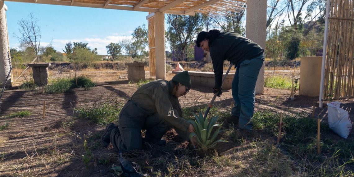 Gobierno de Sonora fortalece la vida cultural y comunitaria en el Bosque Urbano La Sauceda