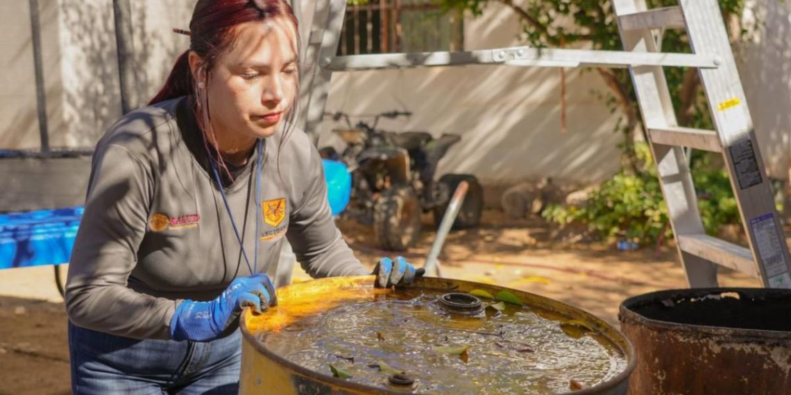 Continúa Salud Sonora con acciones de prevención del dengue en la entidad