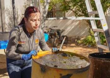 Continúa Salud Sonora con acciones de prevención del dengue en la entidad