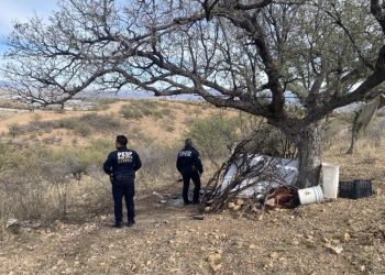 Incauta Policía Estatal y SSPC federal más de 700 envoltorios de narcótico en operativo en Nogales