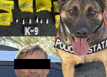 Binomios caninos detectan narcótico en Tierra Nueva: PESP