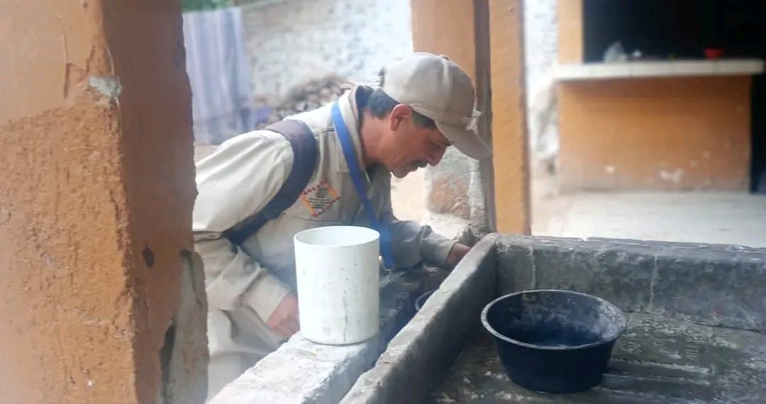 Llama Salud Sonora a reforzar medidas contra el dengue por recientes lluvias