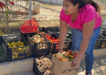 Banco de Alimentos de Hermosillo ofrece paquetes nutricionales solidarios para aliviar la cuesta de enero