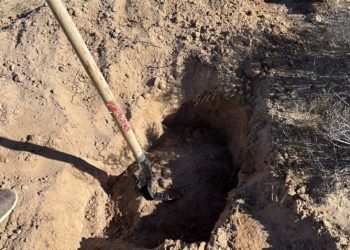 Encuentran restos óseos en carretera 100 de Hermosillo