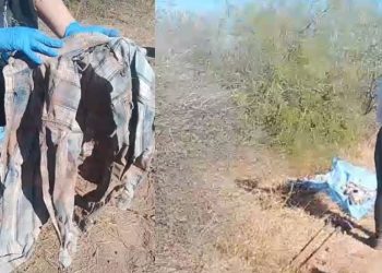 Localizan restos de dos personas en San Ignacio Río Muerto; tenían el tiro de gracia