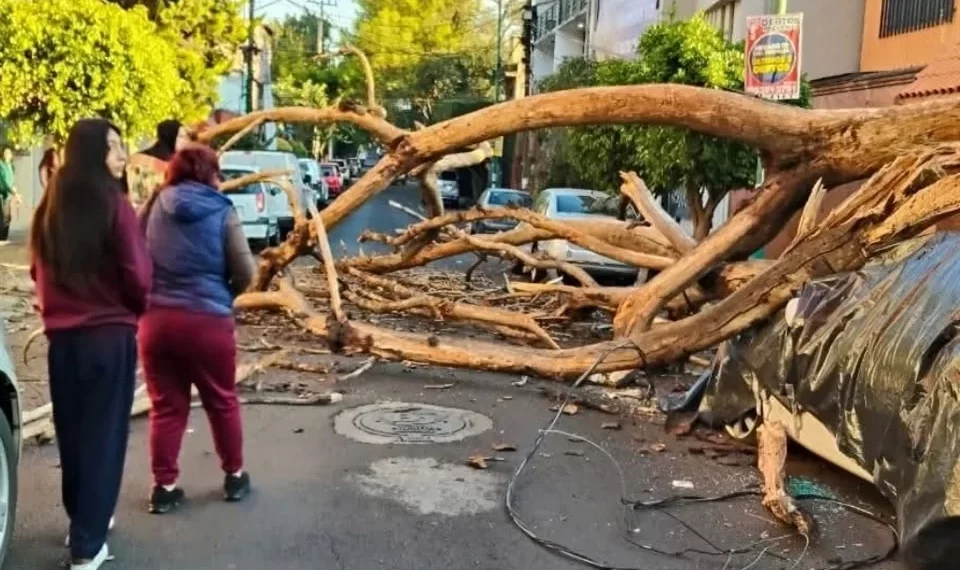 Sorprende temblor a la CDMX
