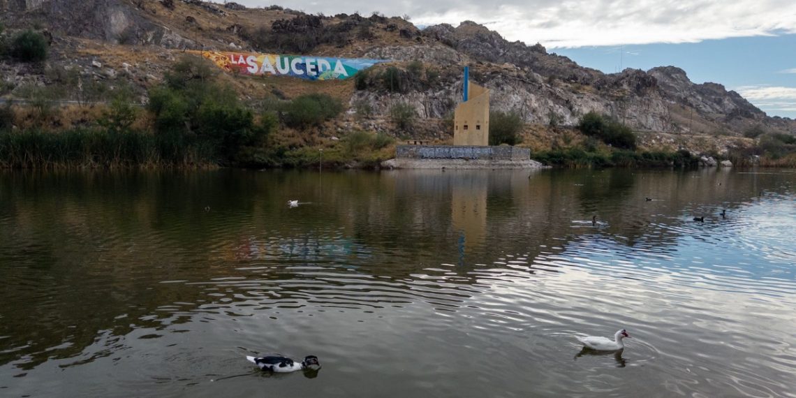 Gobierno de Sonora invita a la ciudadanía a conmemorar el Día Mundial de los Humedales en el Bosque Urbano La Sauceda