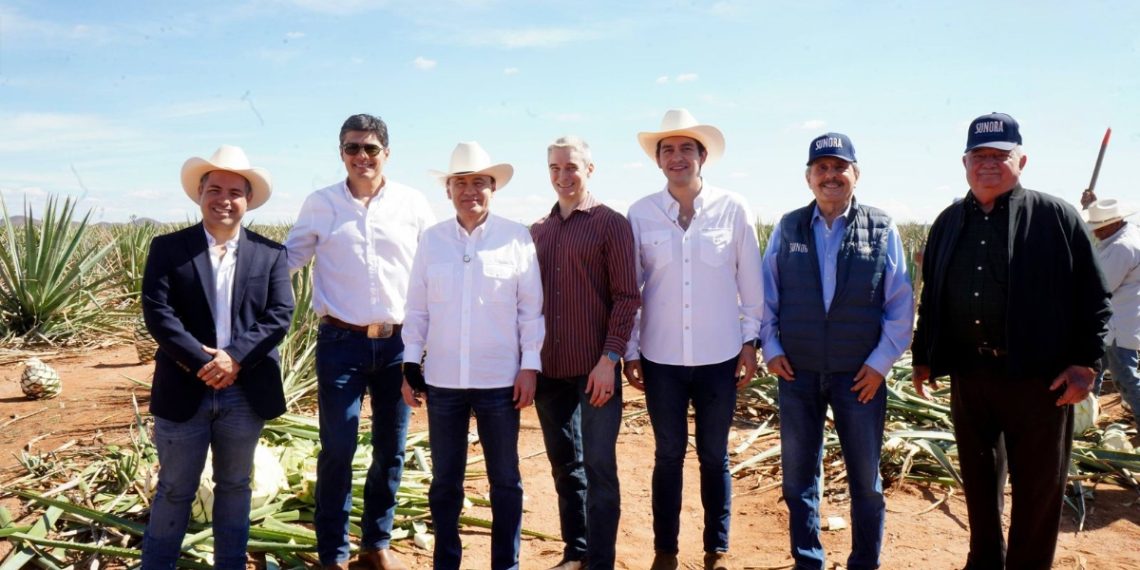 Gobernador Durazo posiciona al bacanora como bebida premium internacional con primeras certificaciones