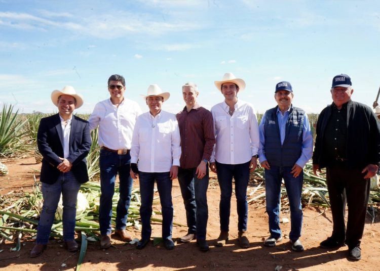 Gobernador Durazo posiciona al bacanora como bebida premium internacional con primeras certificaciones