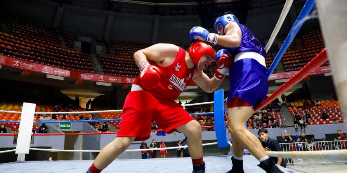 Pugilistas sonorenses inician camino por cinturones de la Olimpiada Estatal 