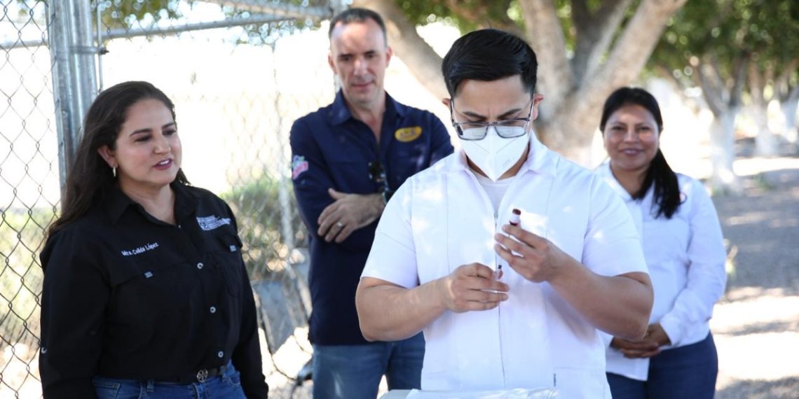 Gobierno de Sonora refuerza coordinación para prevenir sarampión en zonas productivas