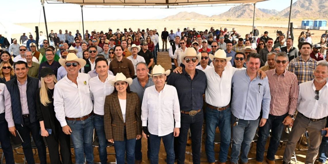 Durazo arranca cosecha de espárrago y consolida liderazgo agroexportador de Sonora
