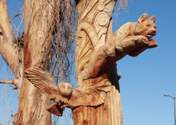 Gobierno de Sonora reconoce el talento artístico en la Premiación de Esculturas de Madera en el Bosque Urbano La Sauceda