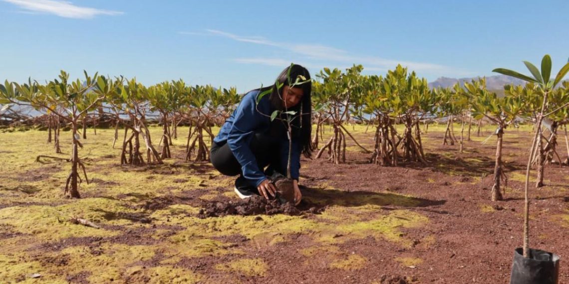 Gobierno de Sonora celebra foro en el marco del Día Mundial de los Humedales