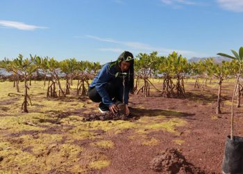 Gobierno de Sonora celebra foro en el marco del Día Mundial de los Humedales