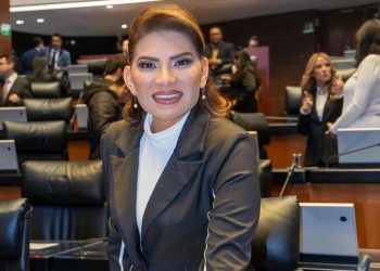 Senado analizará reforma electoral para una democracia más austera: Lorenia Valles