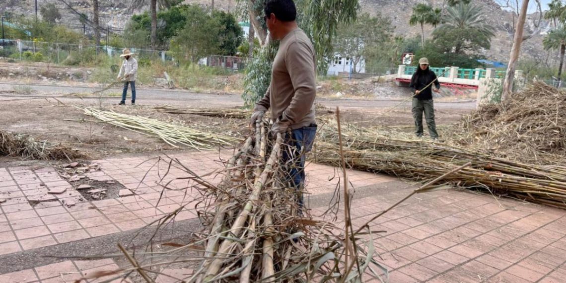 Gobierno de Sonora destaca fin de semana de participación, aprendizaje y comunidad en el Bosque Urbano La Sauceda