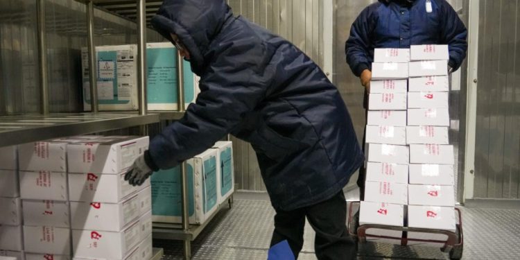 Recibe Sonora 180 mil dosis de vacunas contra el sarampión para reforzar esquemas en todo el estado