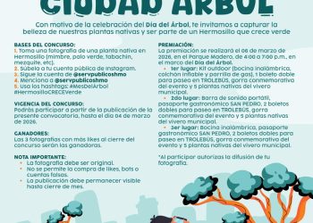 Invita Gobierno de Hermosillo a concurso de fotografía “Ciudad Árbol”