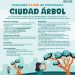 Invita Gobierno de Hermosillo a concurso de fotografía “Ciudad Árbol”