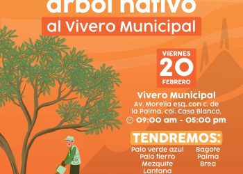 Este viernes 20 el Vivero Municipal donará árboles nativos