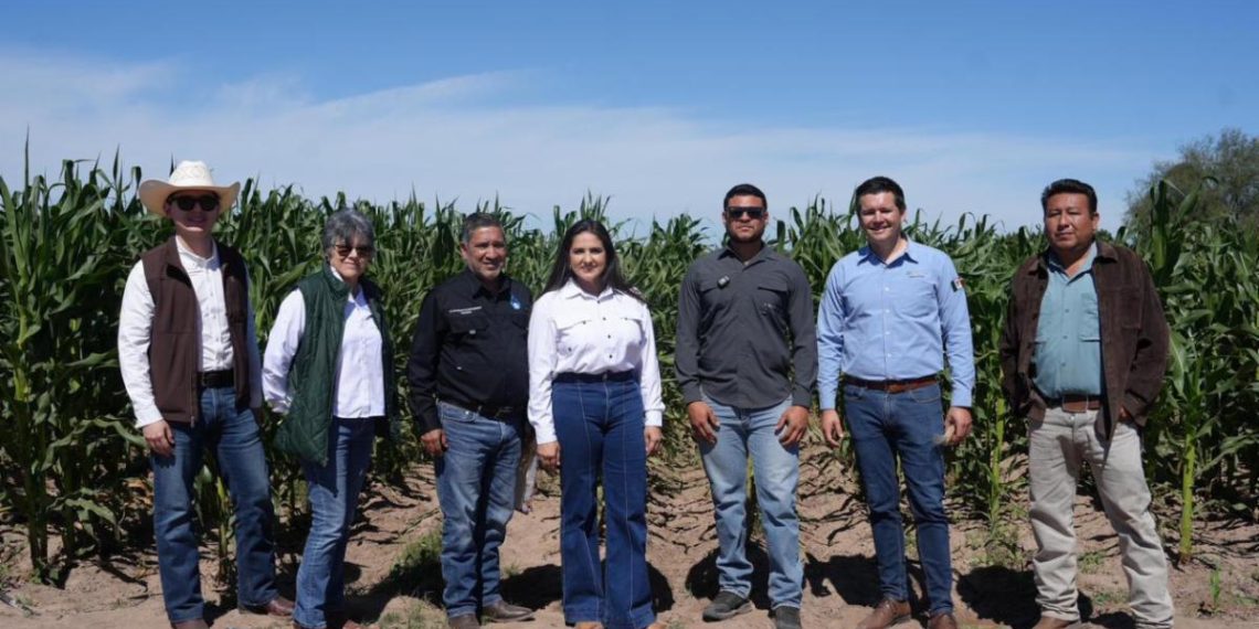 Gobierno de Sonora conmemora en la Universidad Tecnológica de Etchojoa a las y los agrónomos