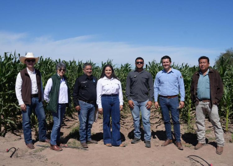 Gobierno de Sonora conmemora en la Universidad Tecnológica de Etchojoa a las y los agrónomos