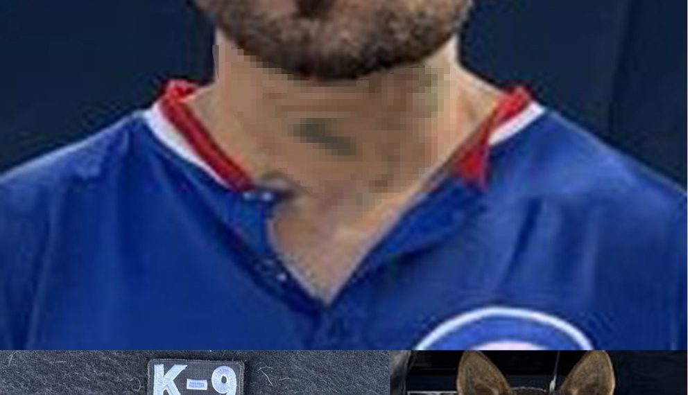 Ejemplar canino Zeusz de la unidad K-9 detecta narcótico en operativo de seguridad en Hermosillo