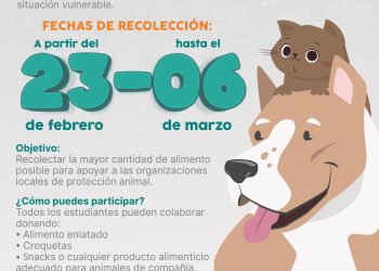 Convoca Gobierno de Hermosillo a participar en Tercer Croquetón