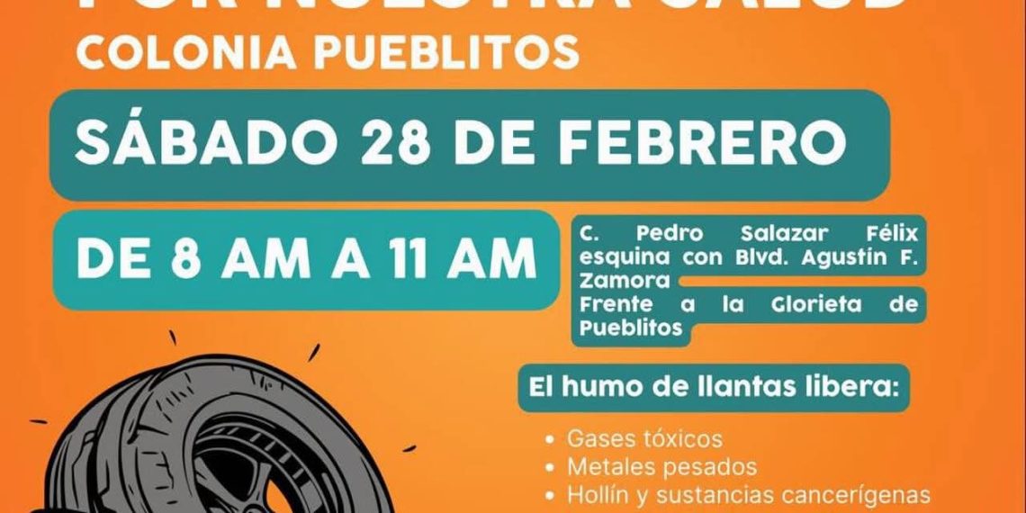 Acciones simples ayudan a prevenir rickettsiosis y dengue: SSP