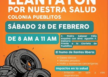 Acciones simples ayudan a prevenir rickettsiosis y dengue: SSP