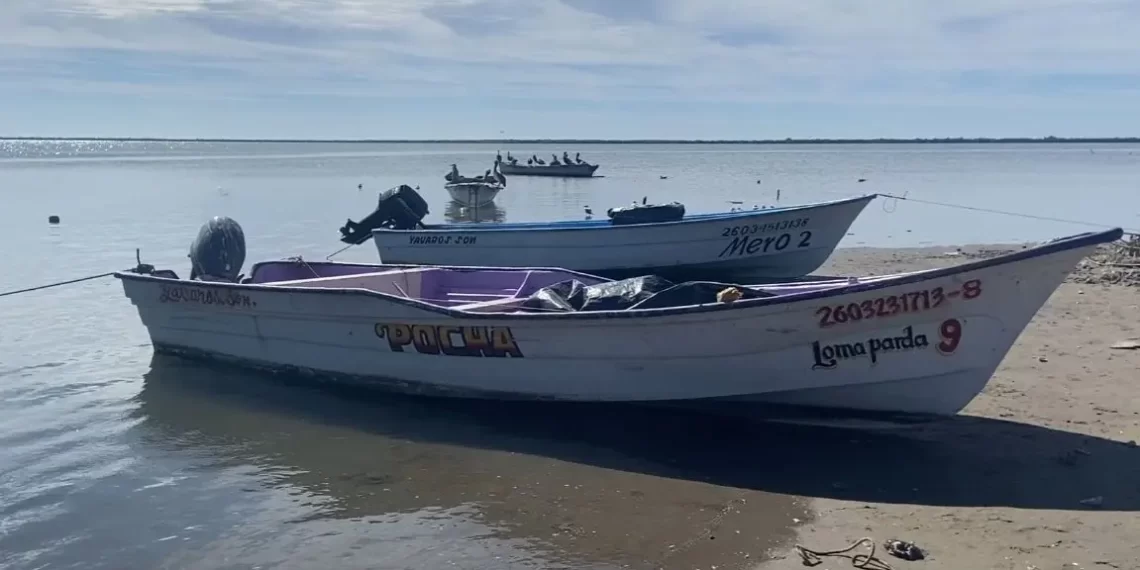 Presencia de tiburones inhibe actividad pesquera en Yavaros