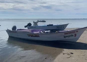 Presencia de tiburones inhibe actividad pesquera en Yavaros
