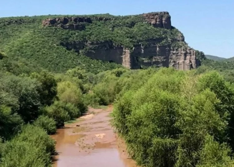 Semarnat inicia muestreo de metales en el río Sonora tras derrame de desechos de Grupo México en 2014