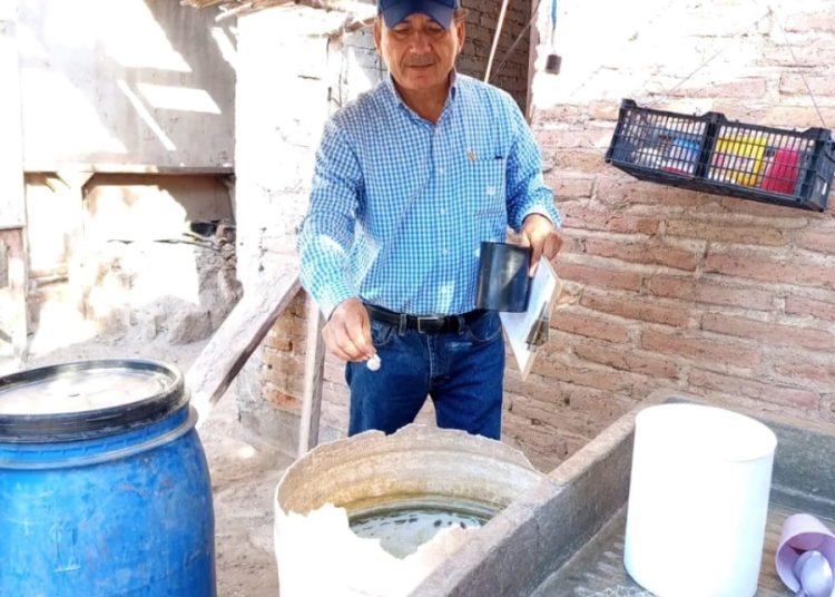 Ante posibles lluvias en Sonora, llama Salud a eliminar criaderos de mosquitos