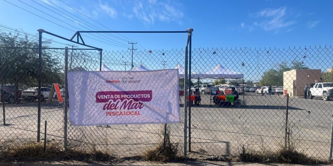 Gobierno de Sonora promueve consumo de pescado y marisco fresco en apoyo a pescadores ribereños