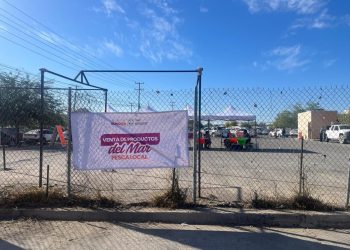 Gobierno de Sonora promueve consumo de pescado y marisco fresco en apoyo a pescadores ribereños