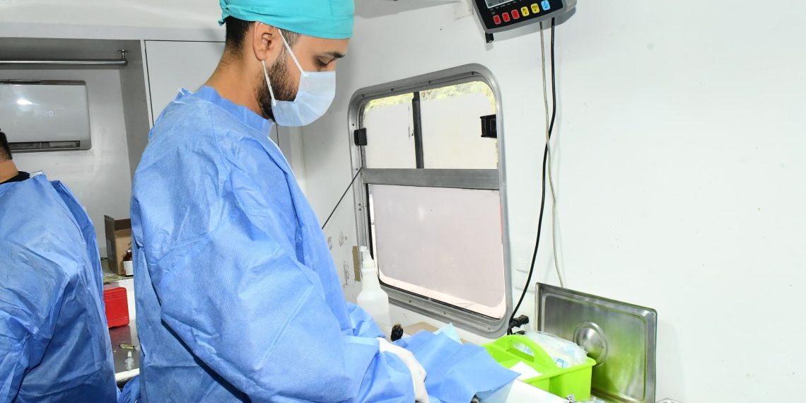 Supera Gobierno de Hermosillo las 50 mil castraciones caninas y gatunas en 2026