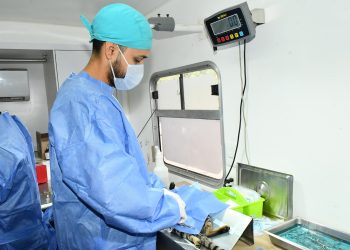 Supera Gobierno de Hermosillo las 50 mil castraciones caninas y gatunas en 2026