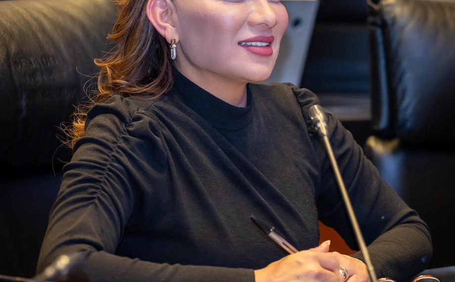 Reforma electoral, un compromiso cumplido al pueblo: Lorenia Valles