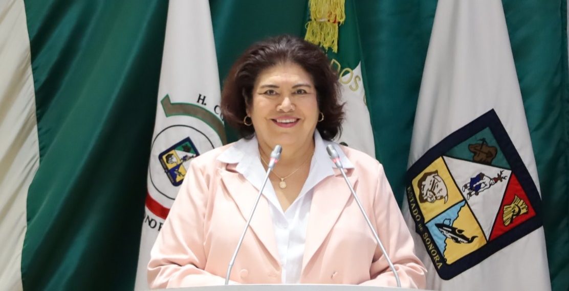 Propone la diputada María Alicia Gaytán crear el Sistema de Registro Hospitalario de Nacimientos