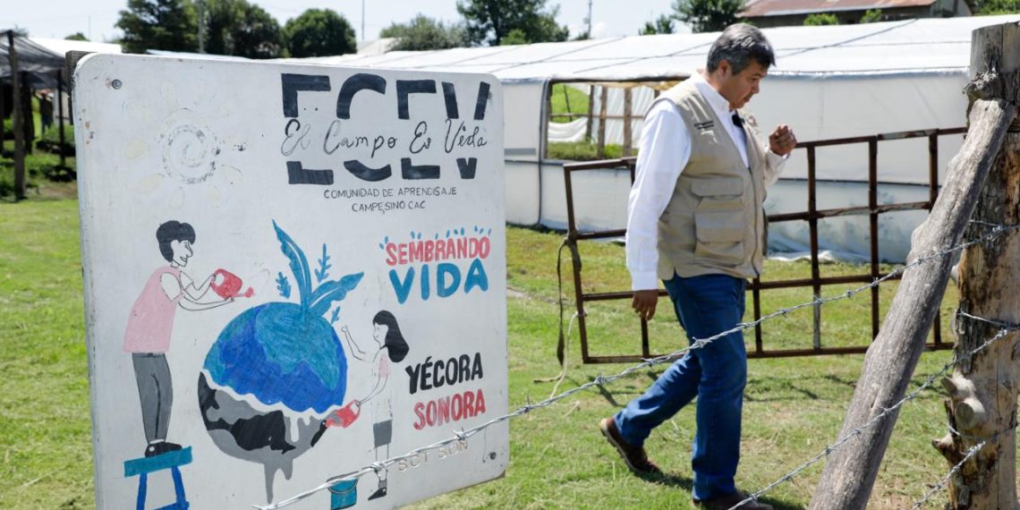 Más de 30 millones de pesos llegarán a Sonora con la dispersión del Programa Sembrando Vida este 10 de marzo