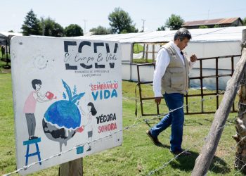 Más de 30 millones de pesos llegarán a Sonora con la dispersión del Programa Sembrando Vida este 10 de marzo