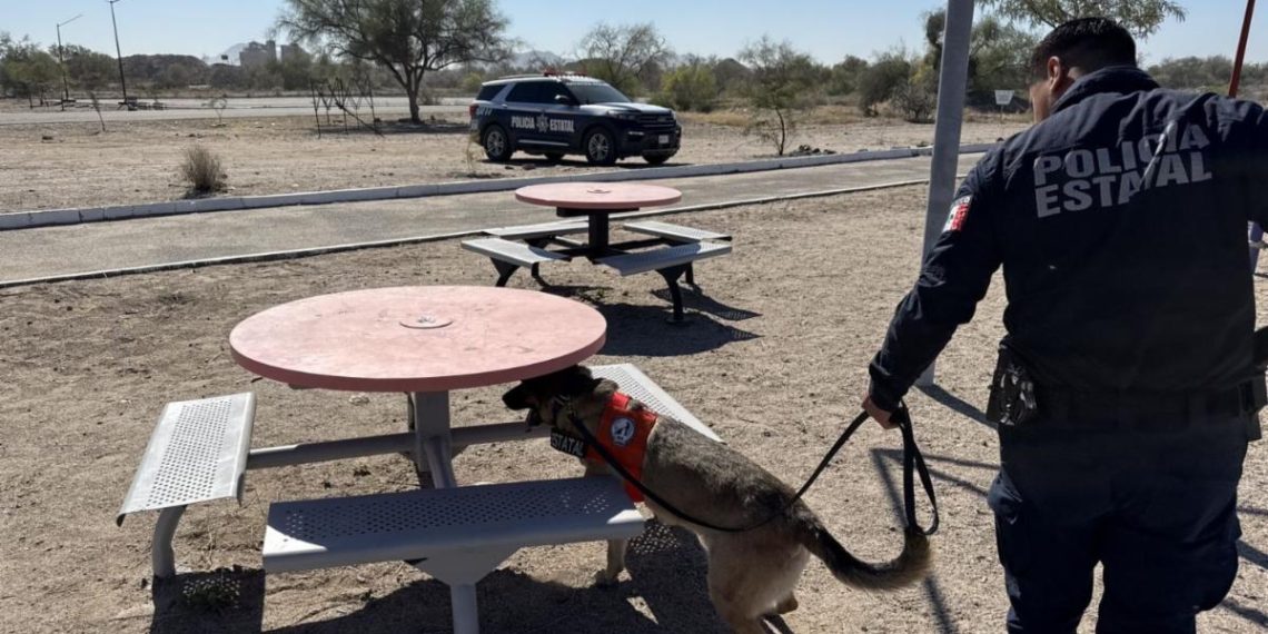Olfato que protege: Binomio K-9 de la PESP obtiene resultado positivo en inspección preventiva