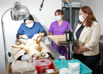 Supervisa Dra. Karla Córdova Centro de Atención Canino y Felino en la colonia Antena