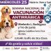 Refuerza Gobierno de Sonora la protección animal con Semana Nacional de Vacunación Antirrábica